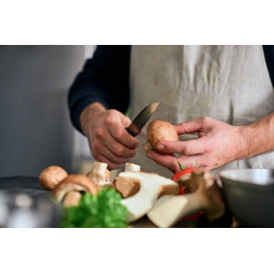 FISSLER ProCut nož za rezanje, 9 cm, 001-019-09-000/0