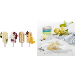 LEKUE 887444 Set od 6 mediteranskih kalupa za sladoled