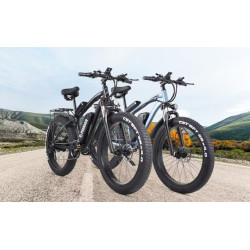 PIONVER P50 eBike, 26-inčni električni bicikl od 500W s baterijom od 48V 15Ah