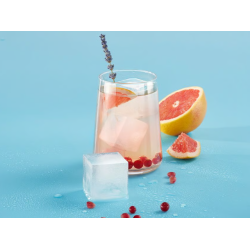 LEKUE 887505 XL kalup za izradu većih ledenih kocki