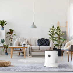 BONECO H320 Hibridni ovlaživač i pročistač, do 60 m3