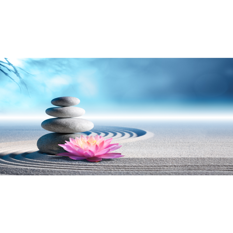 ECOTECH infra crvena GRIJAĆA PLOČA ,600 W, fotomotiv kamenje