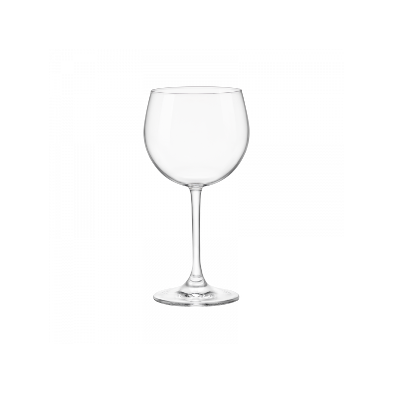 BORMIOLI ROCCO Riserva Barolo, set čaša za vina, 6 komada, 48 cl, prozirna