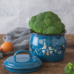 METALAC BLUE COOKING DELIGHT, trbušasti lončić sa kljunom 12cm/ 1.3 lit, i za INDUKCIJU