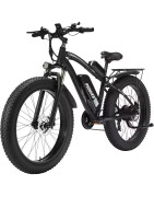 PIONVER električni bicikli